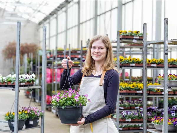 Einkauf im Pflanzengroßmarkt - Frau mit Pflanzampel